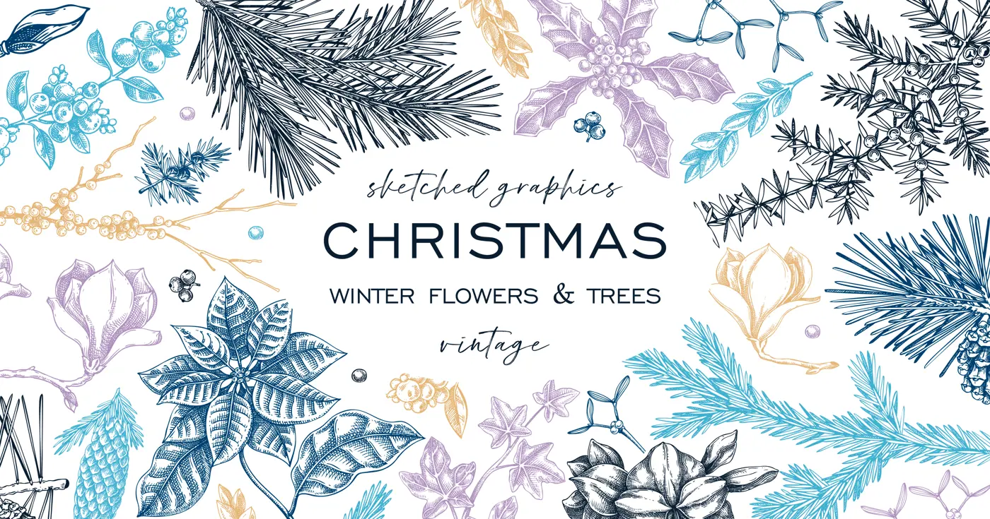 Christmas background. Winter flowers frame design. Conifer tree, evergreen plant, berry sketches. Hand drawn vector illustration. NOT AI generated Illustration